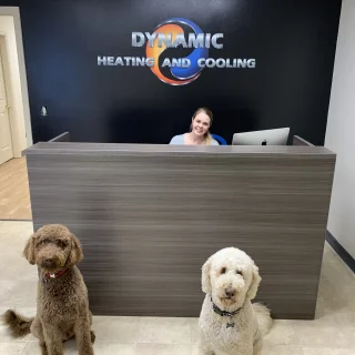 Dynamic Heating and Cooling