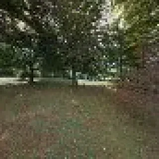 Carrington Heating & Air Conditioning