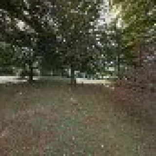 Carrington Heating & Air Conditioning