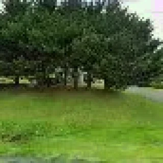 Ryans Heating & Air Conditioning Inc.