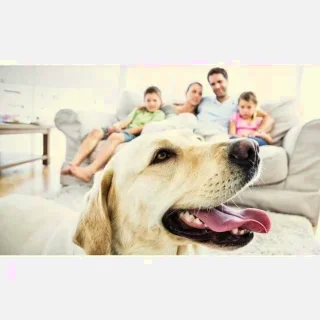 Sunrise Comfort Solutions