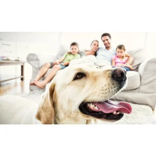 Sunrise Comfort Solutions