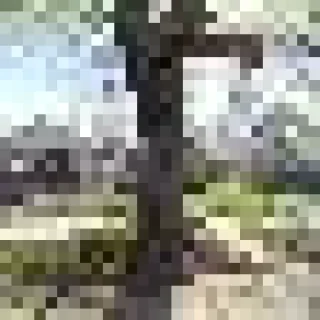 Custom Heating & Cooling