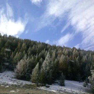 Antelope Valley Construction & HVAC