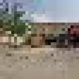 Land Shark Services, LLC