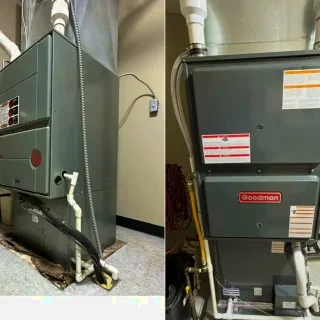 Polar Bear Conditioned Air