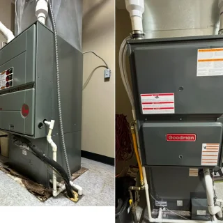 Polar Bear Conditioned Air