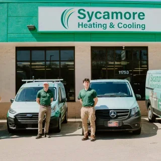 Sycamore