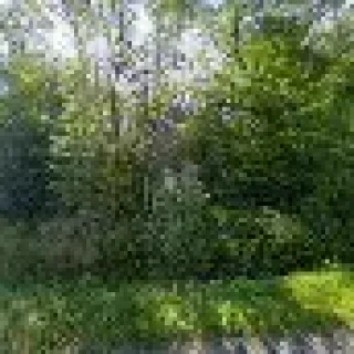 Hustons Heating & Pumps