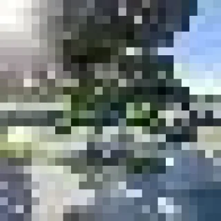 Dynamic plus contracting