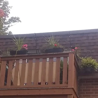 DC Heat & Maintenance Ltd