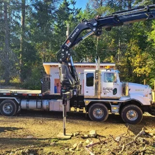49th parallel cranes