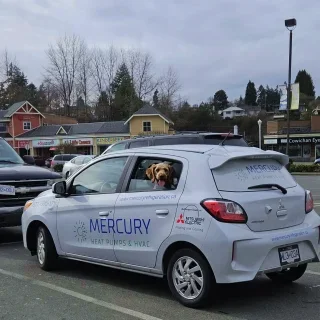 Mercury Refrigeration / Mercury Heat Pumps & HVAC