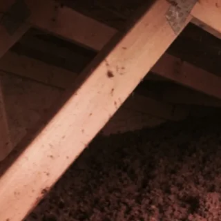 Nick's Insulation