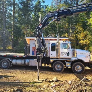 49th parallel cranes