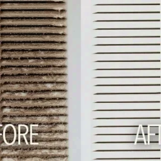 Evergreen Cleaning Air