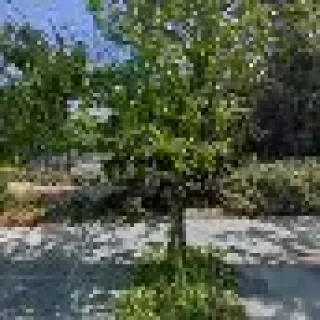 Absolute Heating & Air Conditioning