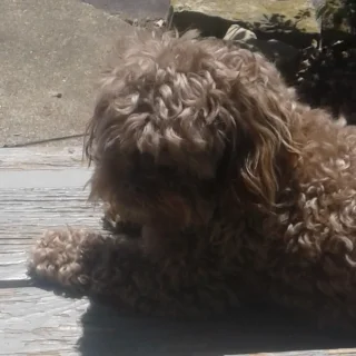 Excellent HVAC/Duct cleaners