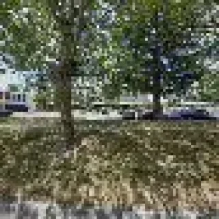 Washington Mechanical