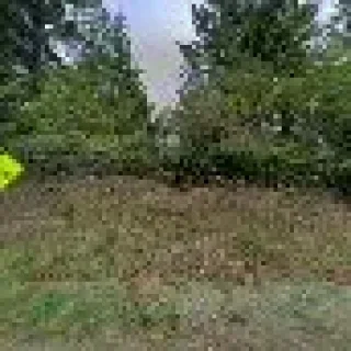 Air Management Solutions LLC