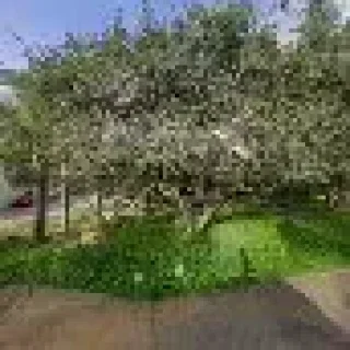 B & B Quality Heating & Air