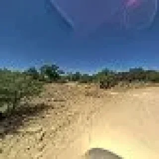 Pinos Altos Plumbing Co