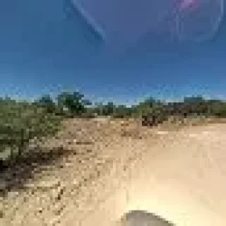 Pinos Altos Plumbing Co