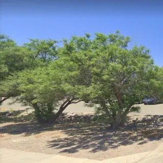 Winsupply of Las Cruces