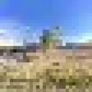 Advanced Restoration LLC