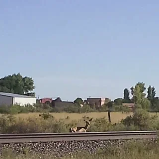 Lucero Plumbing & Heating