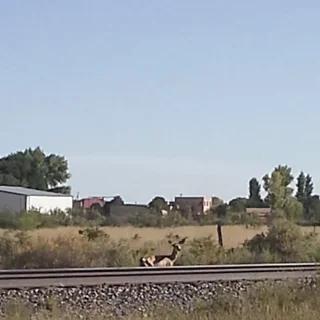 Lucero Plumbing & Heating