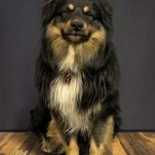 Comfort Masters Plumbing Heating