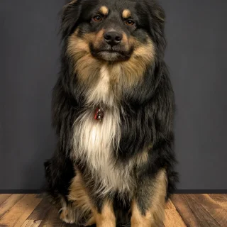 Comfort Masters Plumbing Heating