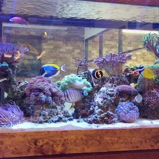 Richmond Brothers Mechanical