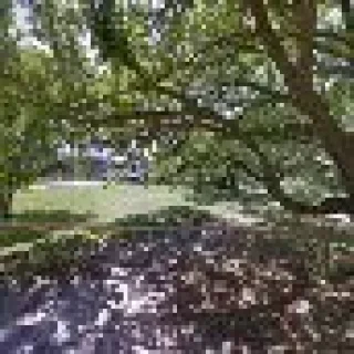 Skippers Heating & Air