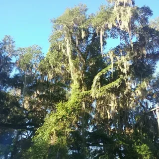 Browning HVAC Service