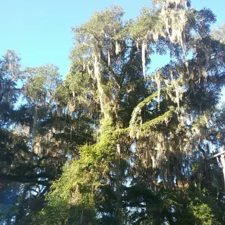 Browning HVAC Service