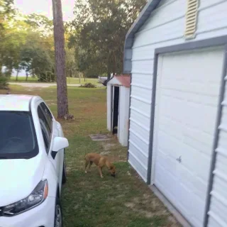 Ryder Cooling & Refrigeration - Heating Service - HVAC Repair in Homosassa FL