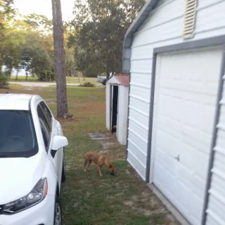 Ryder Cooling & Refrigeration - Heating Service - HVAC Repair in Homosassa FL