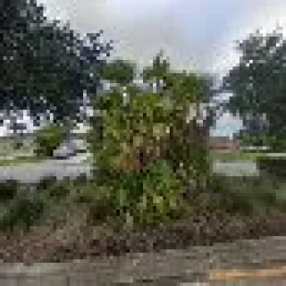 Airden HVAC Repair Cooling & Heating Experts Of Naples