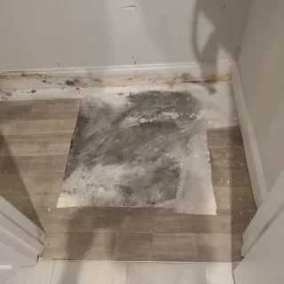 Fogel Services, Inc.