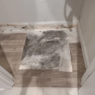 Fogel Services, Inc.