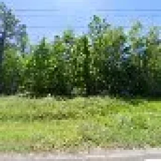 C-Aire HVac and Commercial Refrigeration