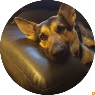 John R White Air Conditioning and Heating