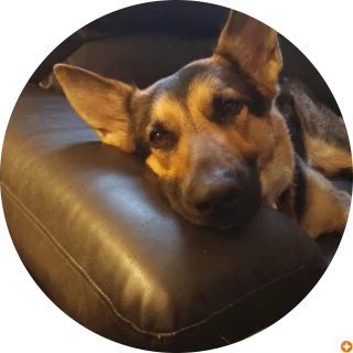 John R White Air Conditioning and Heating