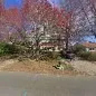 Dolphin Heating & Air Conditioning