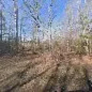 Roxbury Mechanical LLC