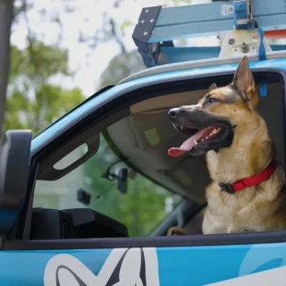 Woodfin - Your Home Team