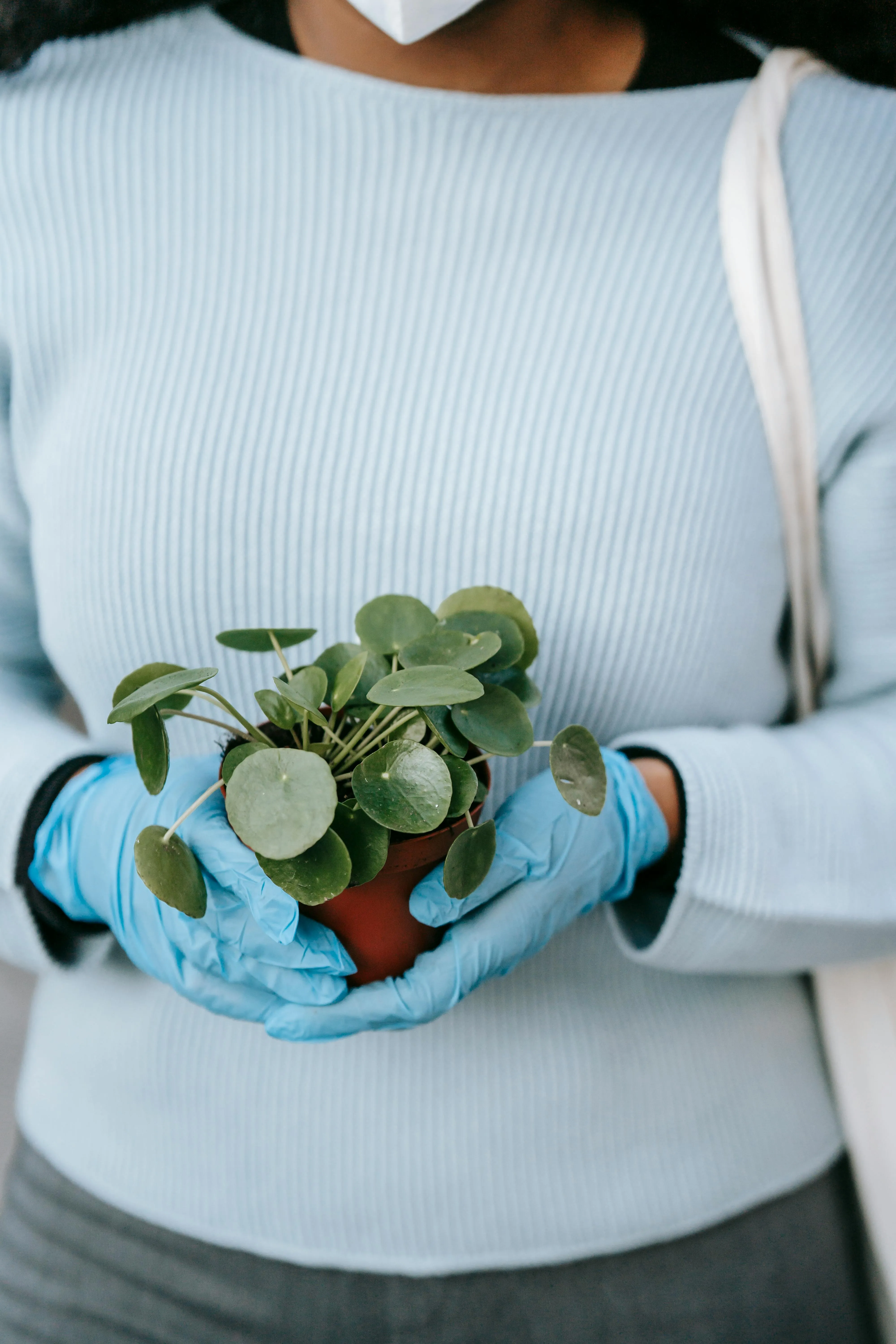 gardening