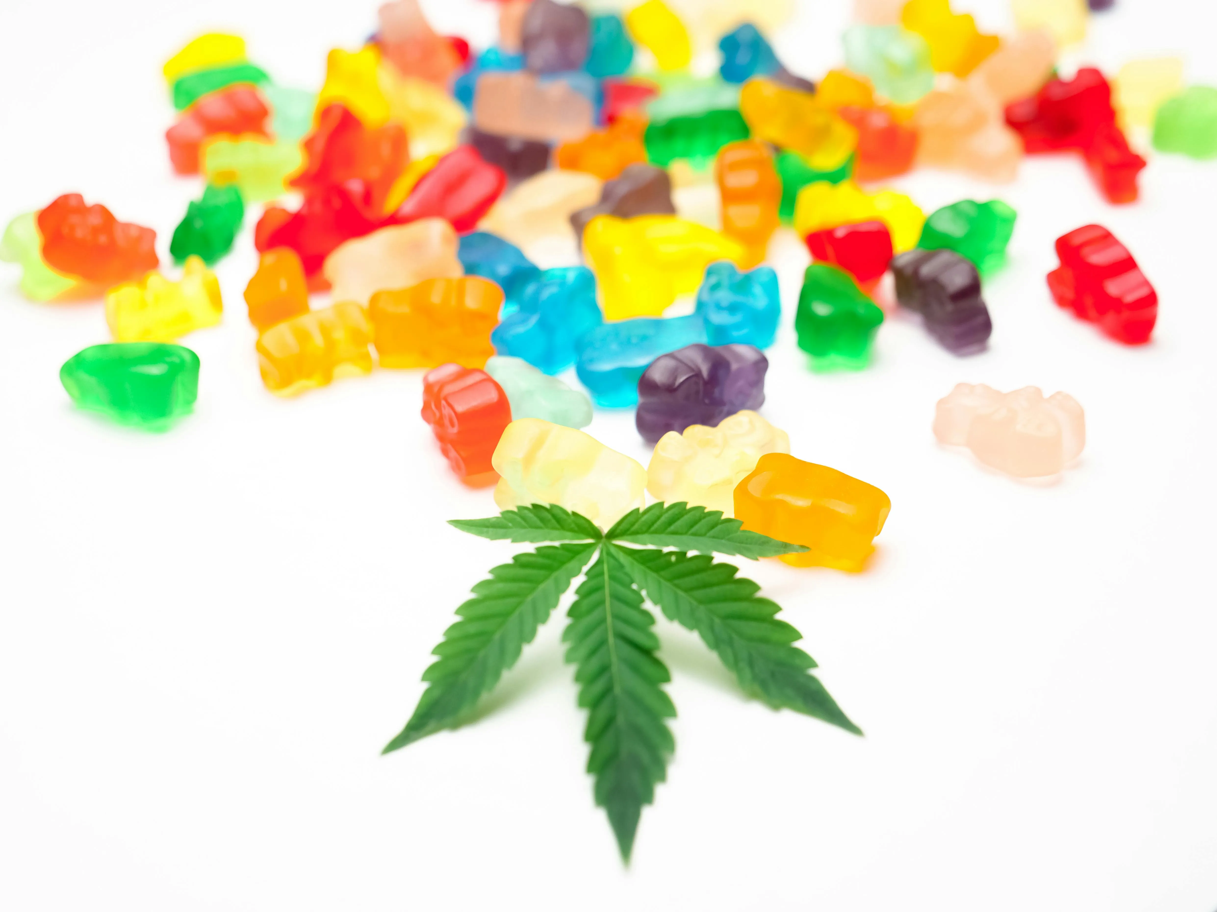 cannabis edibles